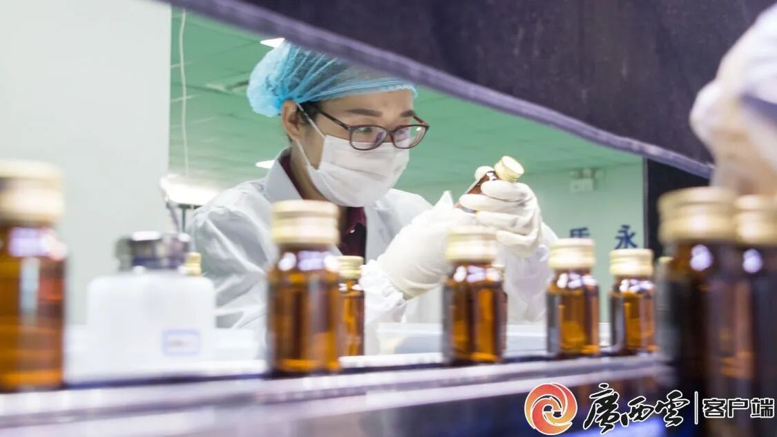 廣西日報聚焦天緣綠：從產(chǎn)品創(chuàng)新到行業(yè)標準，引領芭蕉健康產(chǎn)業(yè)升級